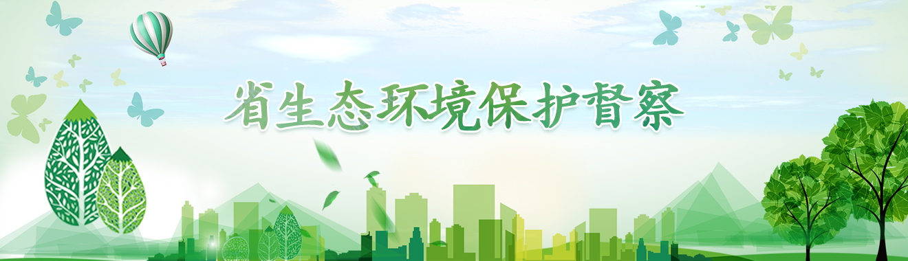 省生态环境保护督察